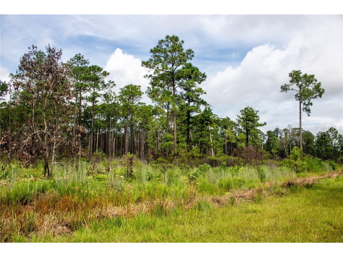 None Frostproof FL 33843 P4932472 image1