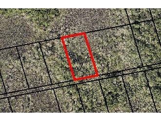 (None) Indian River Park Mims FL 32754 U8214388 image1