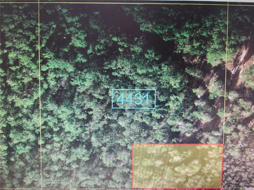 None Saint Cloud FL 34771 S5100185 image1