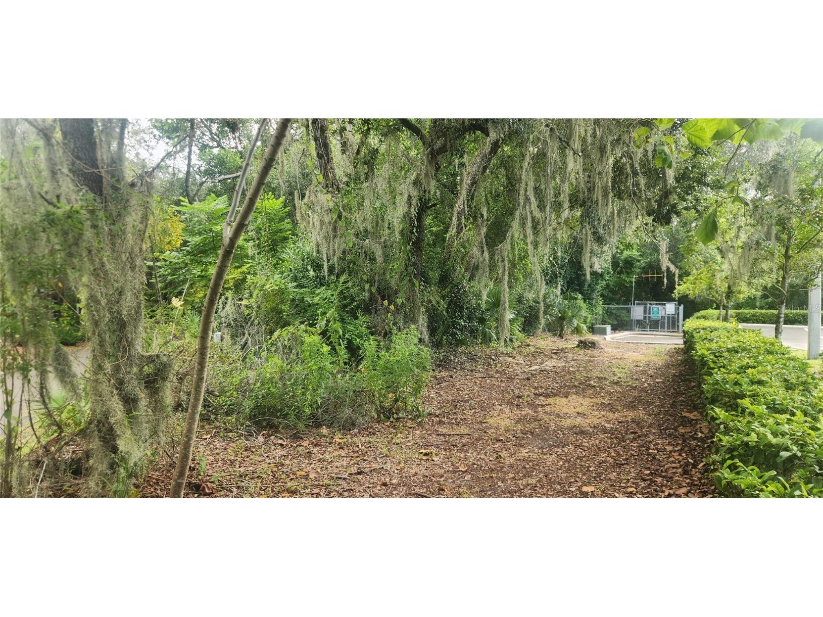 None Street Altamonte Springs FL 32714 - LITTLE WEKIVA RIVER O6352464 image5