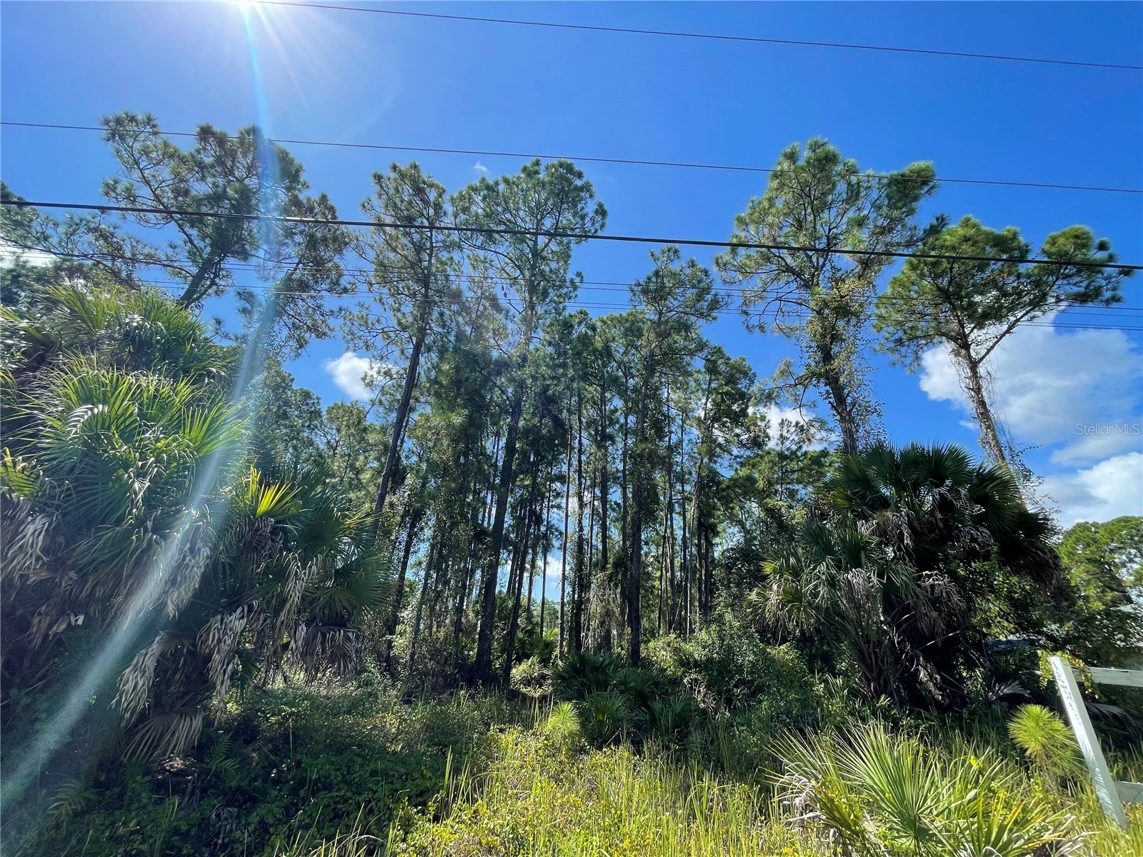 Noppenberg Avenue #LOT 30 North Port FL 34288 A4681053 image1