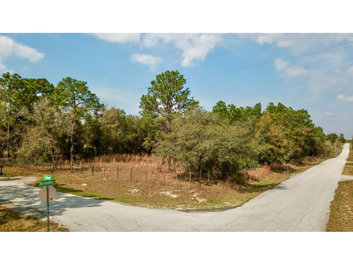 Normandeau & Carthage Spring Hill FL 34610 T3427904 image1