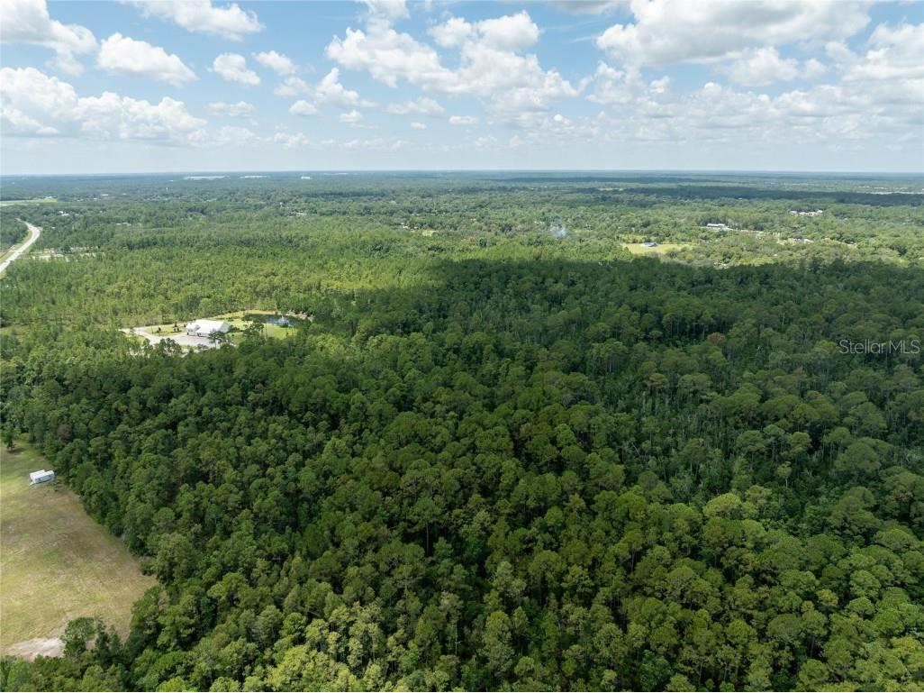 North Avenue Lake Helen FL 32744 V4944175 image4