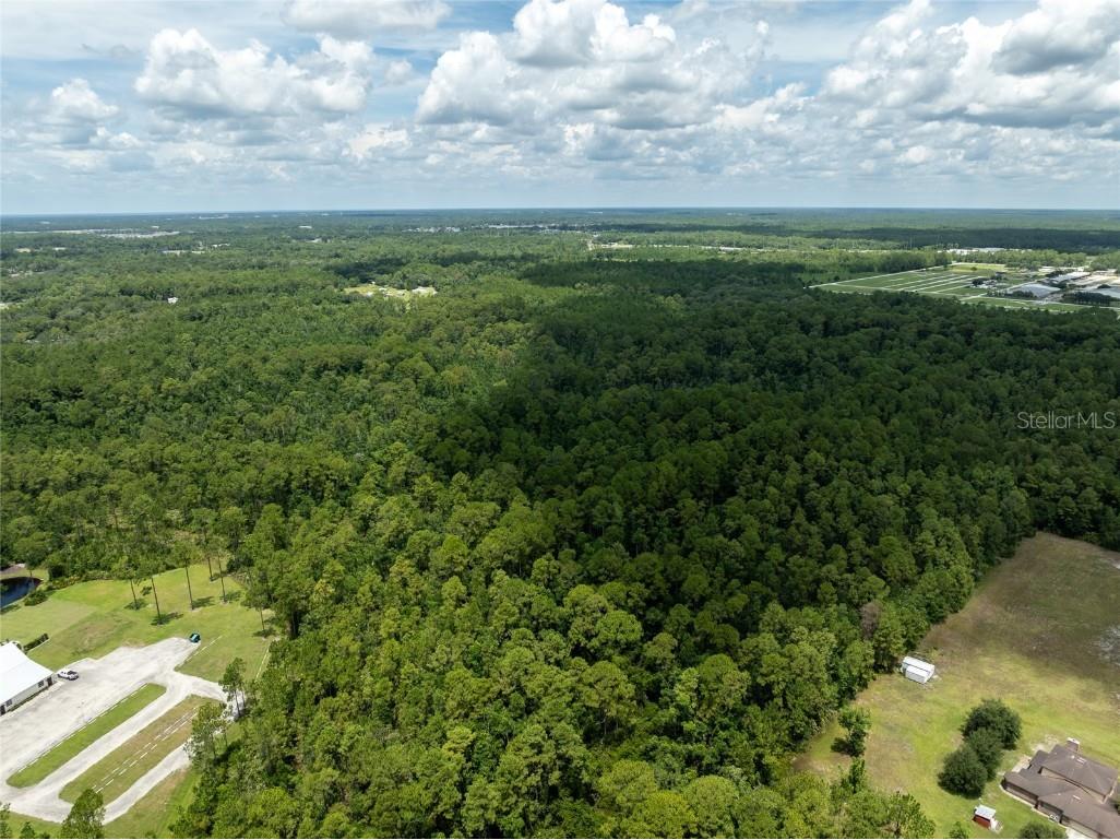 North Avenue Lake Helen FL 32744 V4944175 image5