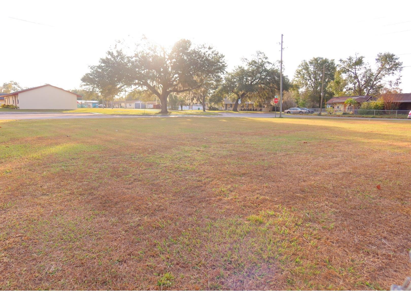 North Avenue Zephyrhills FL 33542 TB8464812 image5