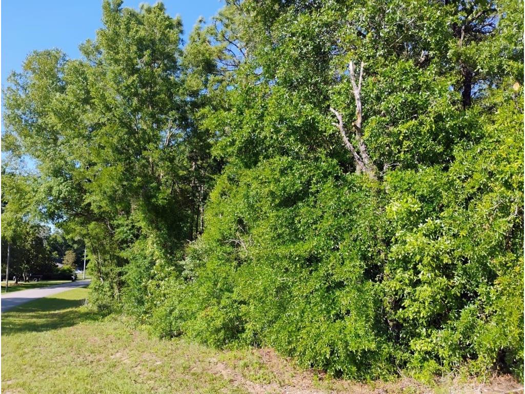 North East 155th Court Williston FL 32696 O6309878 image3