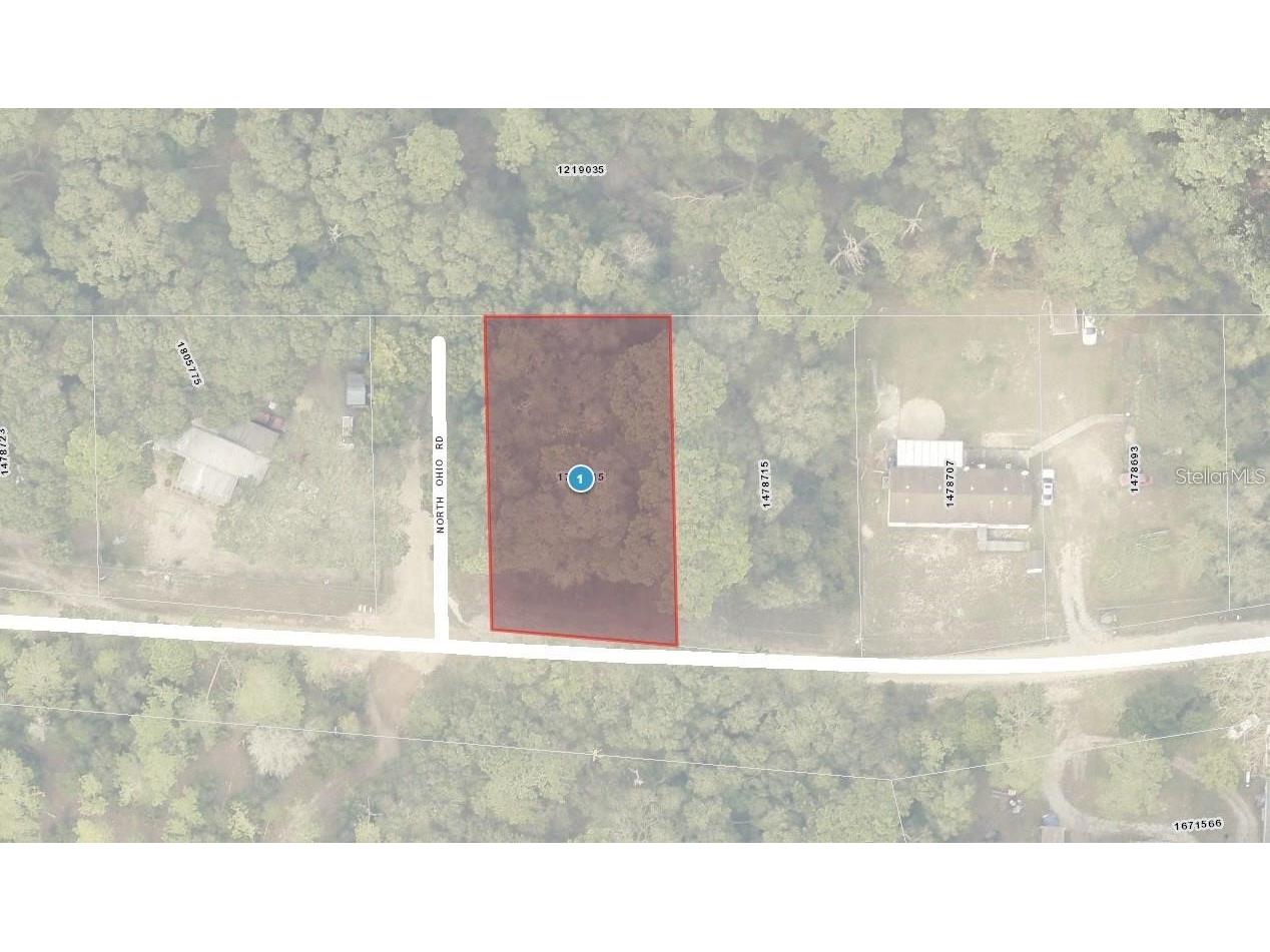 North Road Altoona FL 32702 OM716065 image2