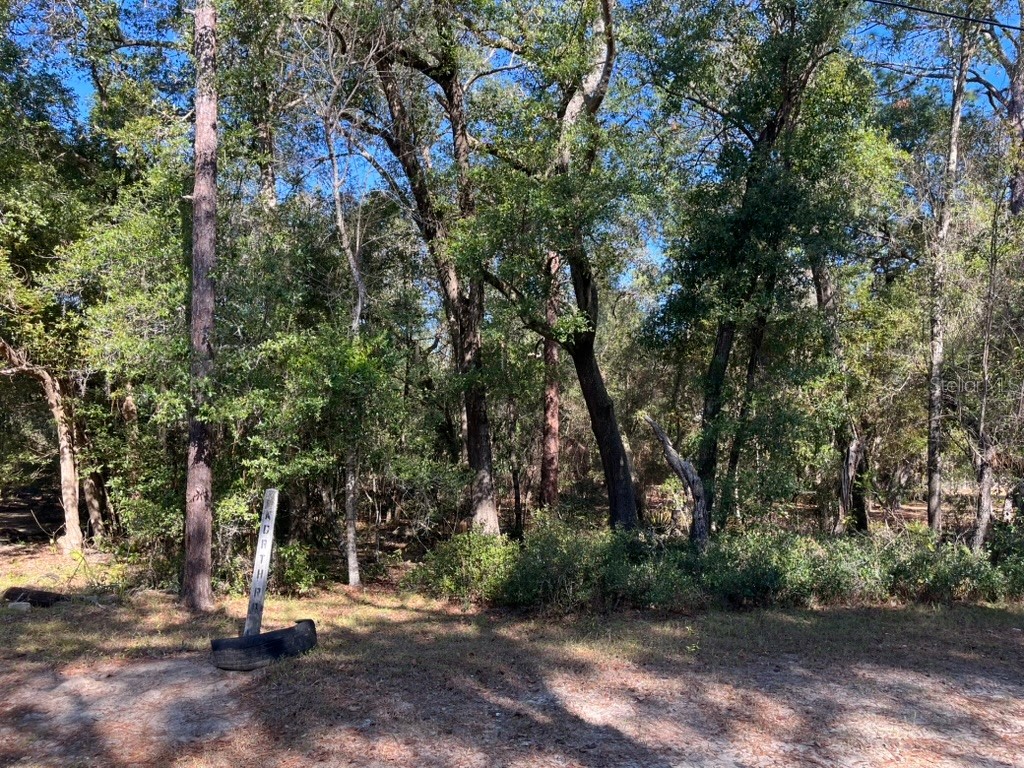 North Road Altoona FL 32702 OM716065 image3