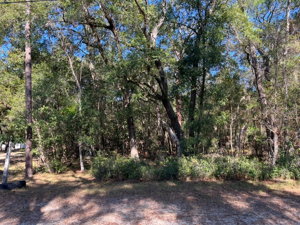 North Road Altoona FL 32702 OM716065 image4