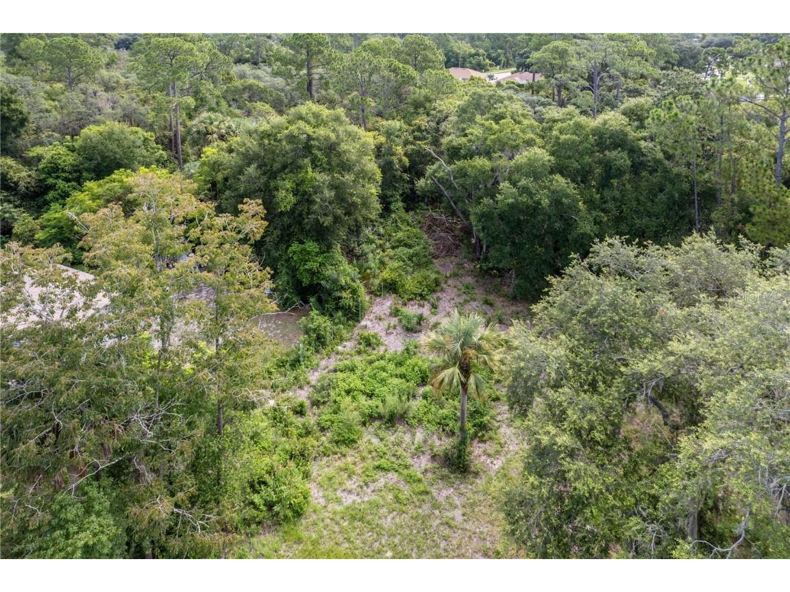 North Road Deltona FL 32725 G5085253 image2