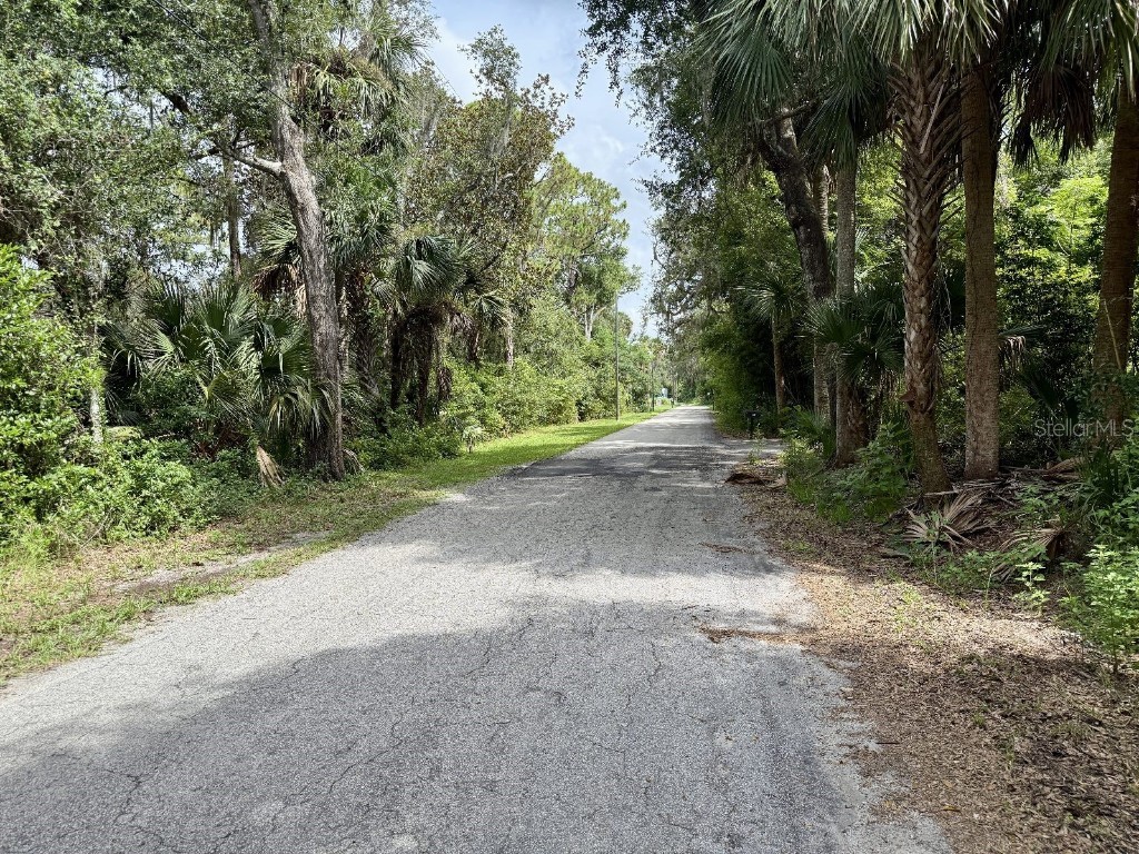 North Road Deltona FL 32725 TB8407269 image4