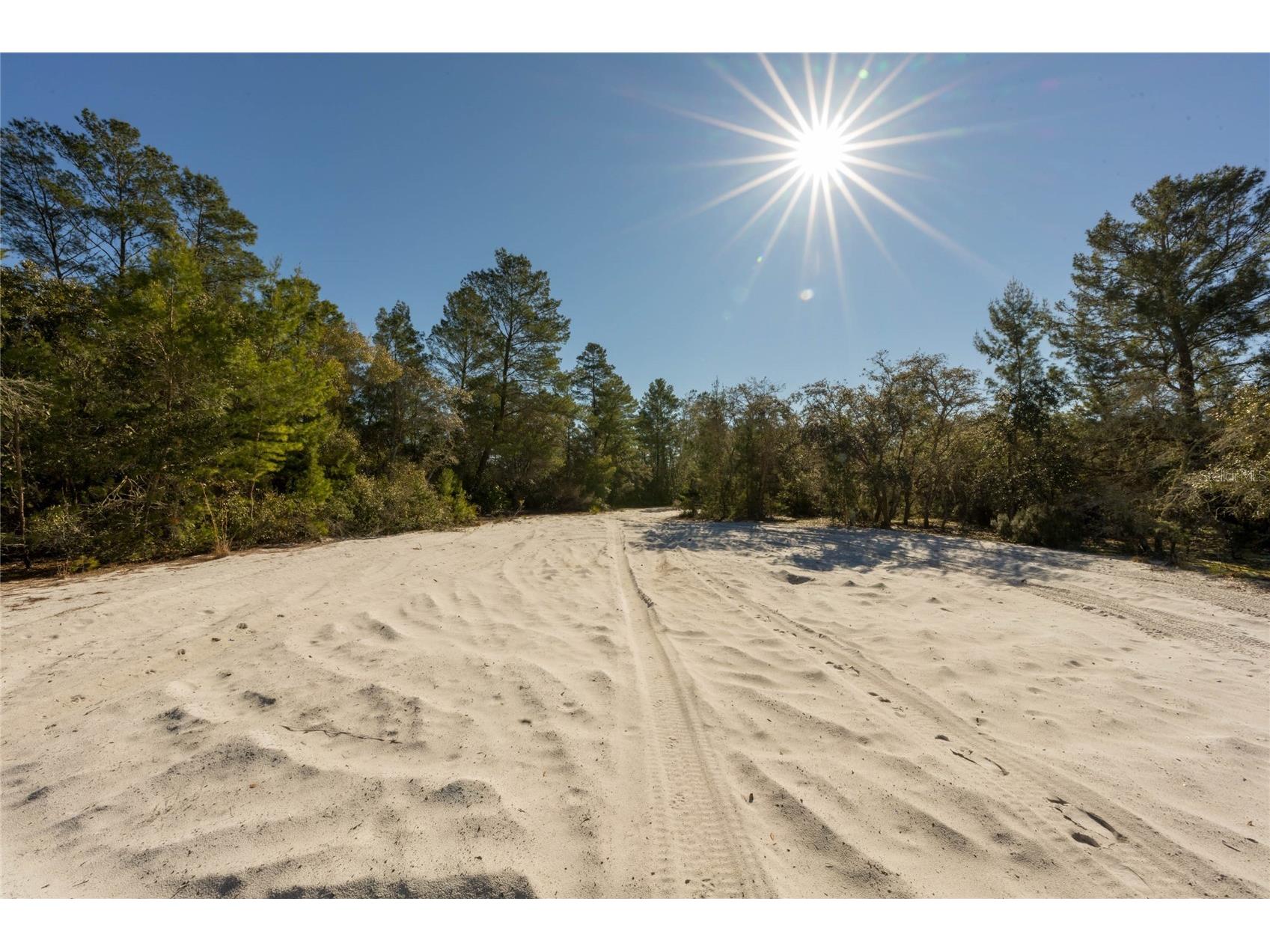 North Road Pierson FL 32180 - LAKE DRUDY V4948906 image10
