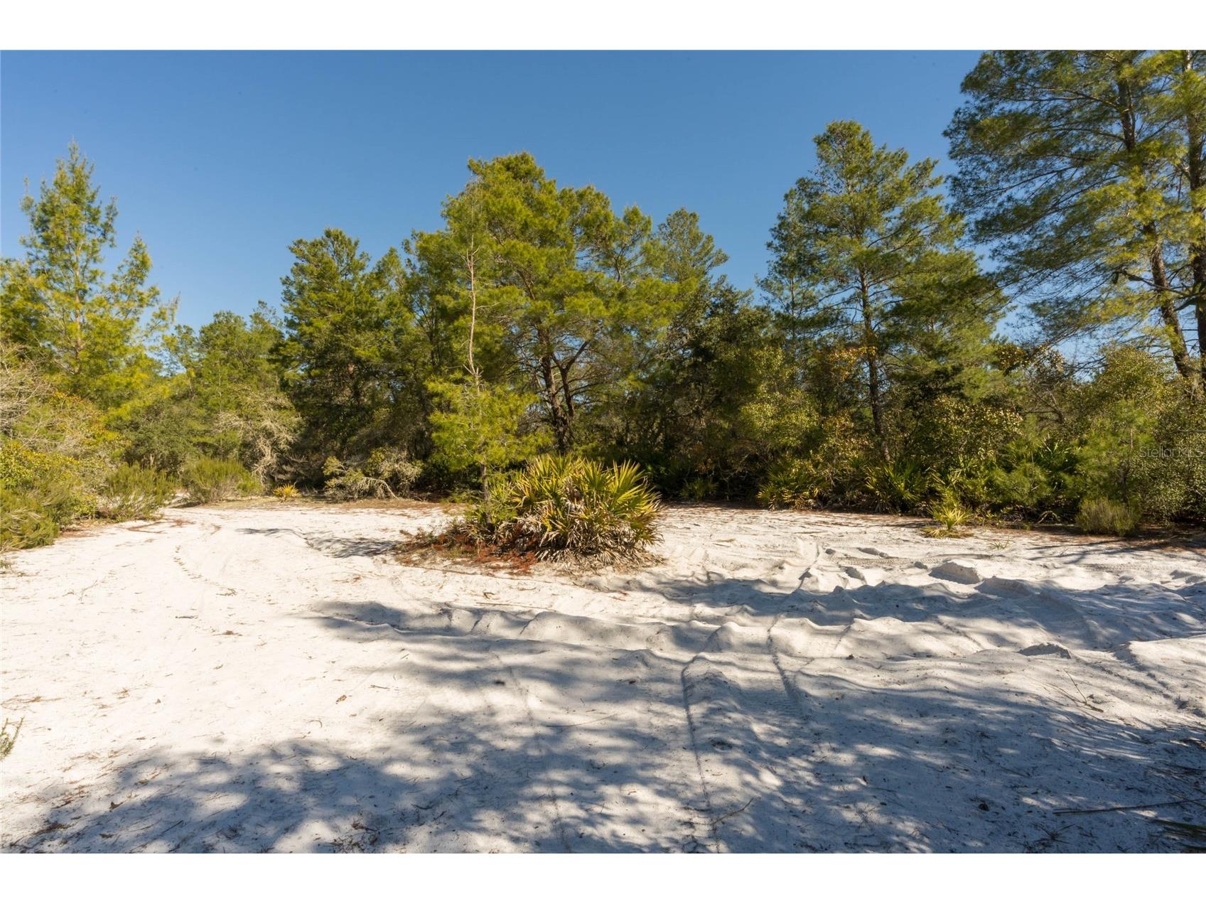 North Road Pierson FL 32180 - LAKE DRUDY V4948906 image11