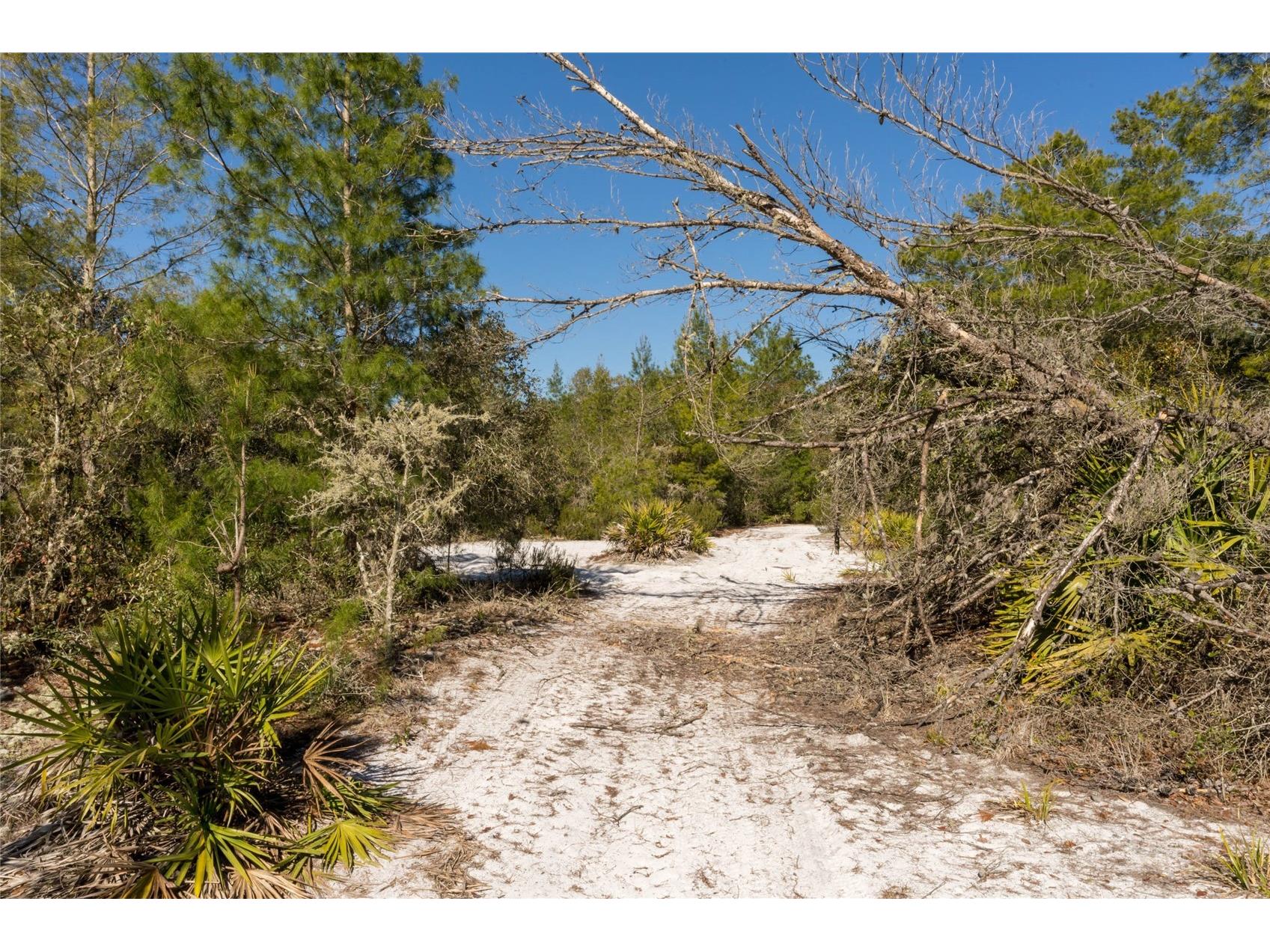 North Road Pierson FL 32180 - LAKE DRUDY V4948906 image12