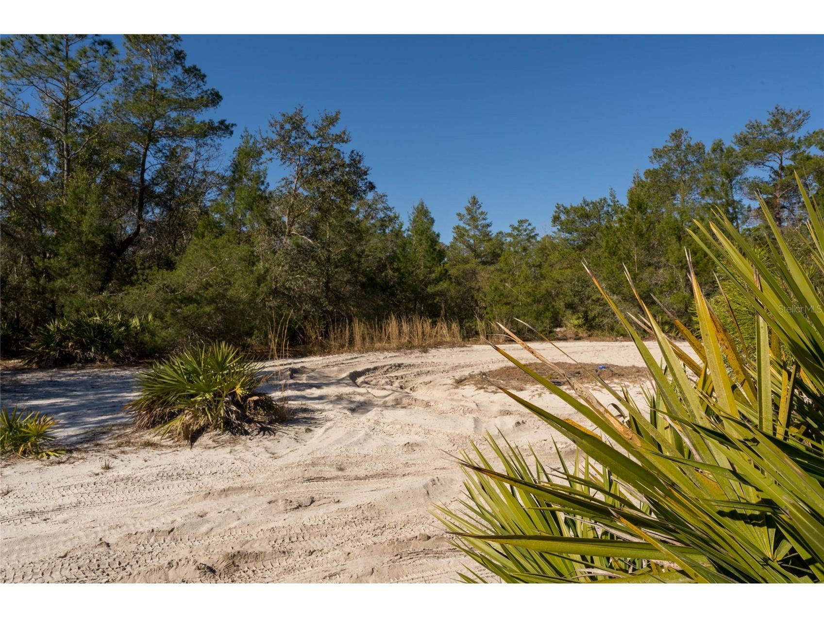 North Road Pierson FL 32180 - LAKE DRUDY V4948906 image13