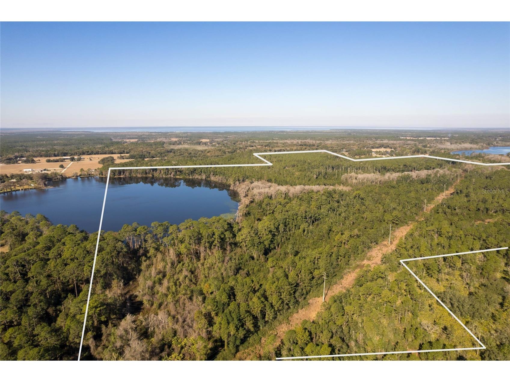 North Road Pierson FL 32180 - LAKE DRUDY V4948906 image7