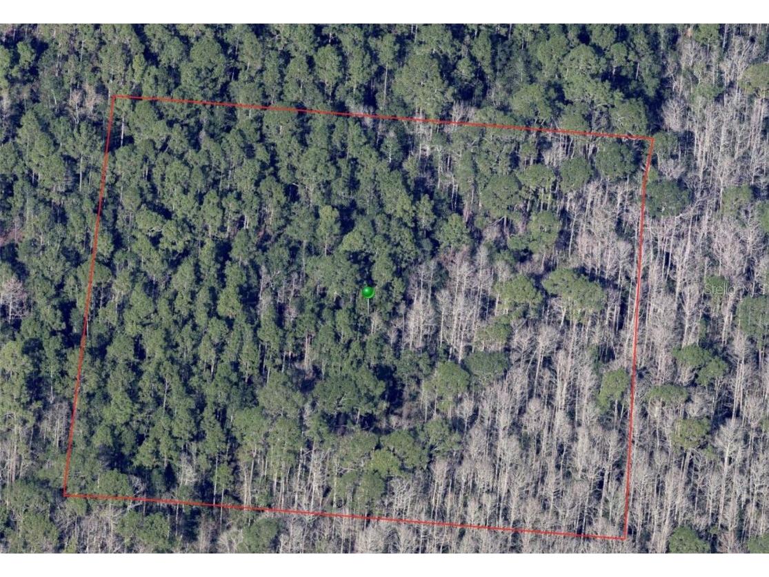 North Street De Leon Springs FL 32130 V4943227 image1