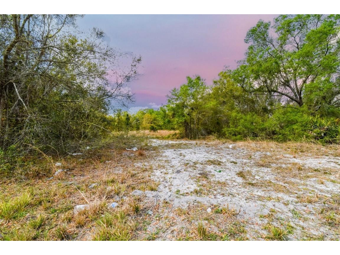 North Street Wimauma FL 33598 T3430578 image1