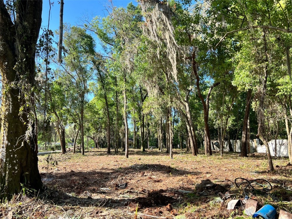 Northeast 2nd Ave Lutz FL 33549 T3435521 image1