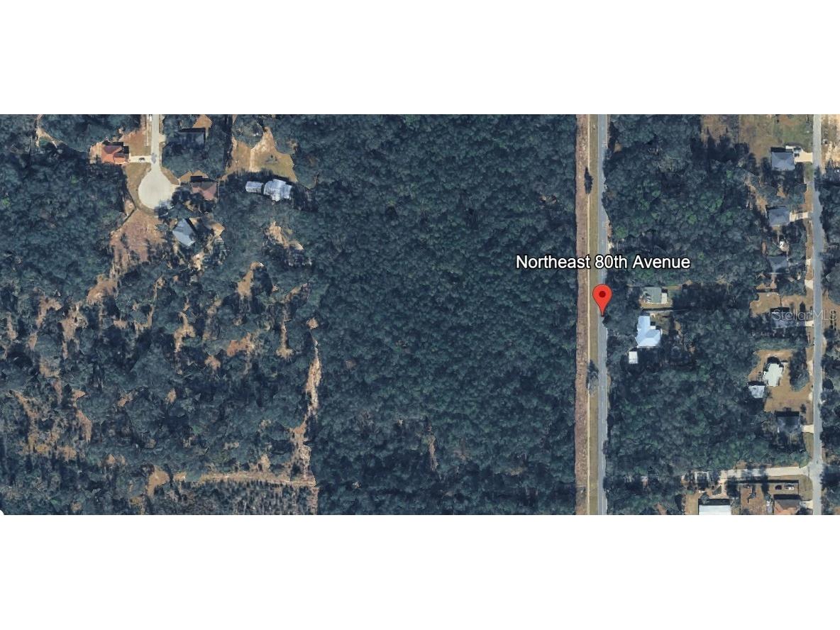 Northeast 80th Ave Bronson FL 32621 O6387300 image1