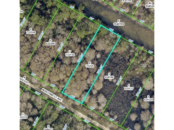 Northwest Avenue Webster FL 33597 U8210773 image1