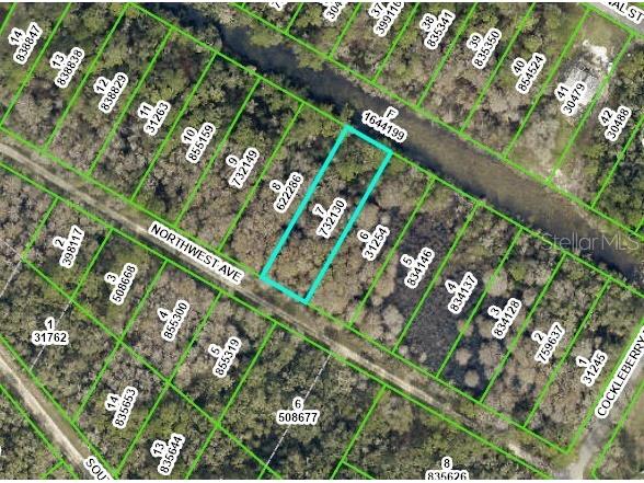 Northwest Avenue Webster FL 33597 U8210786 image1