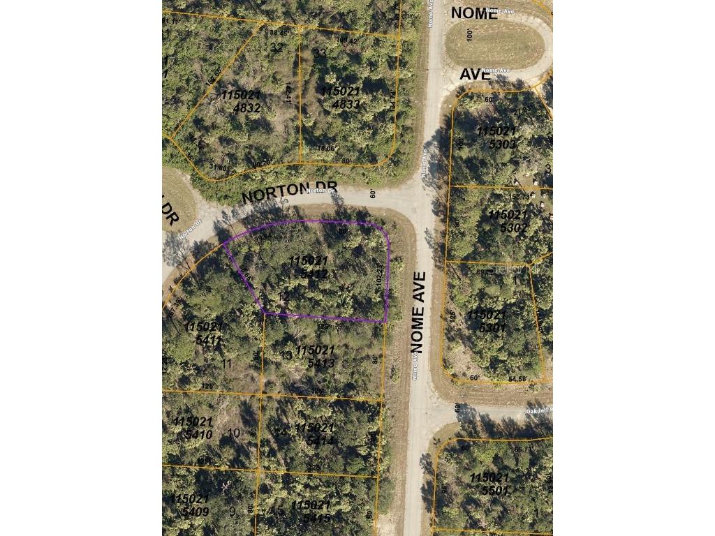 Norton Drive North Port FL 34288 N6128974 image1