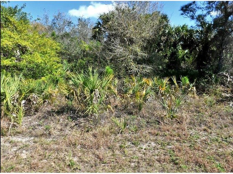 Norton Drive North Port FL 34288 O6185078 image2