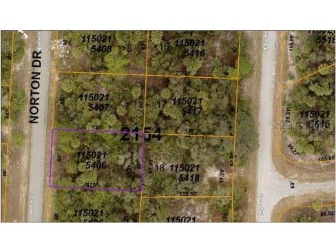 Norton Drive North Port FL 34288 O6185078 image6