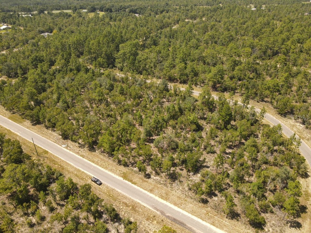 Norvell Street Chipley FL 32428 TB8412680 image10