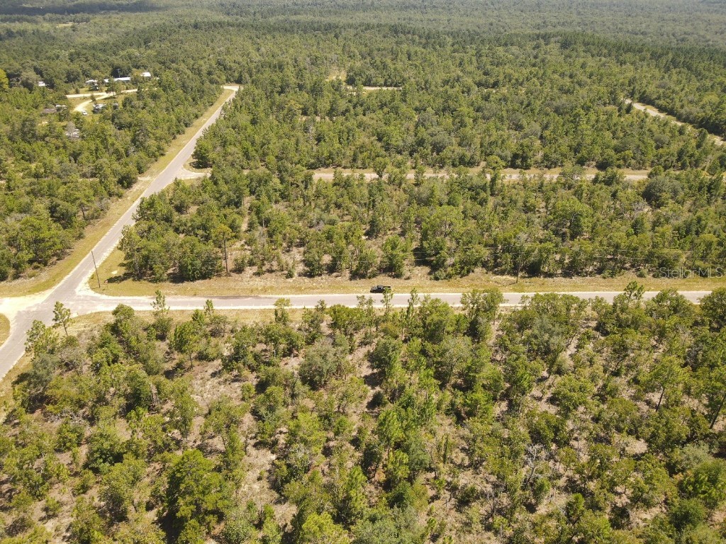 Norvell Street Chipley FL 32428 TB8412680 image11