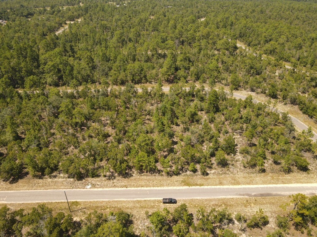 Norvell Street Chipley FL 32428 TB8412680 image12