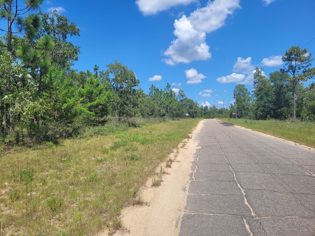 Norvell Street Chipley FL 32428 TB8412680 image3