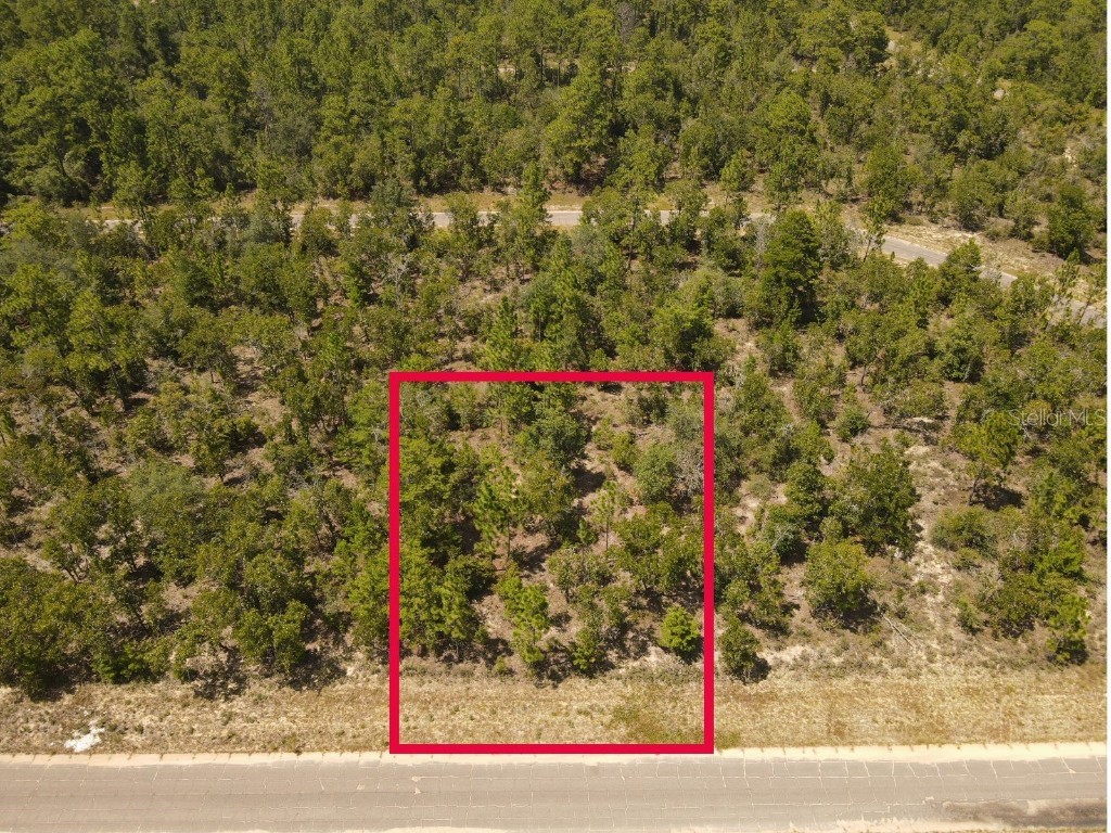 Norvell Street Chipley FL 32428 TB8412680 image4