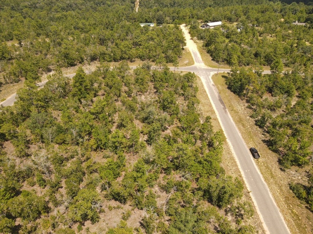 Norvell Street Chipley FL 32428 TB8412680 image5