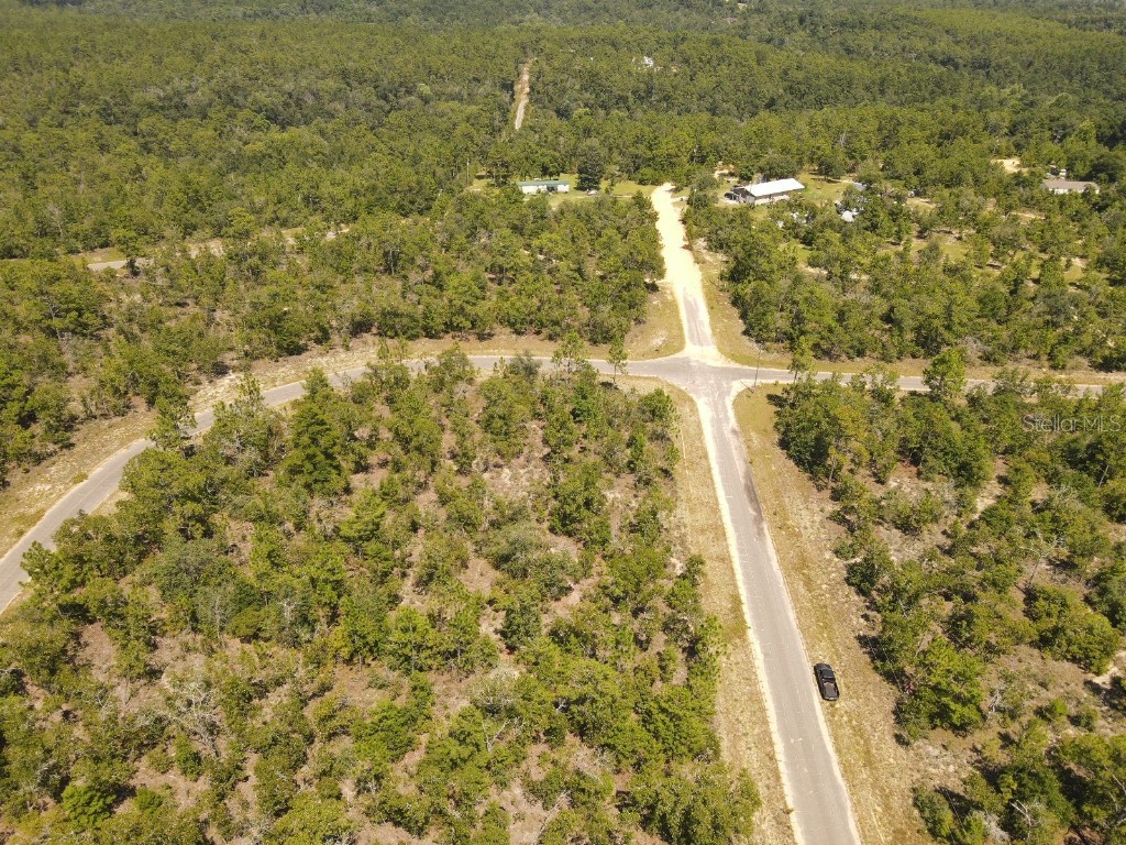 Norvell Street Chipley FL 32428 TB8412680 image6