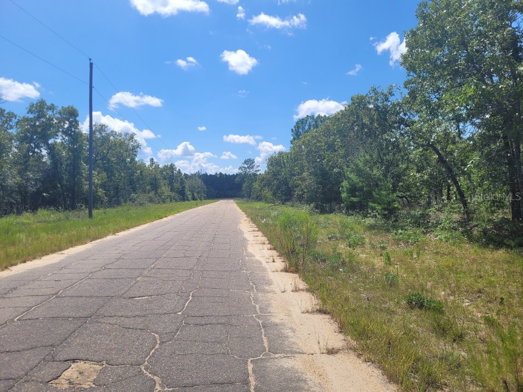 Norvell Street Chipley FL 32428 TB8412680 image7