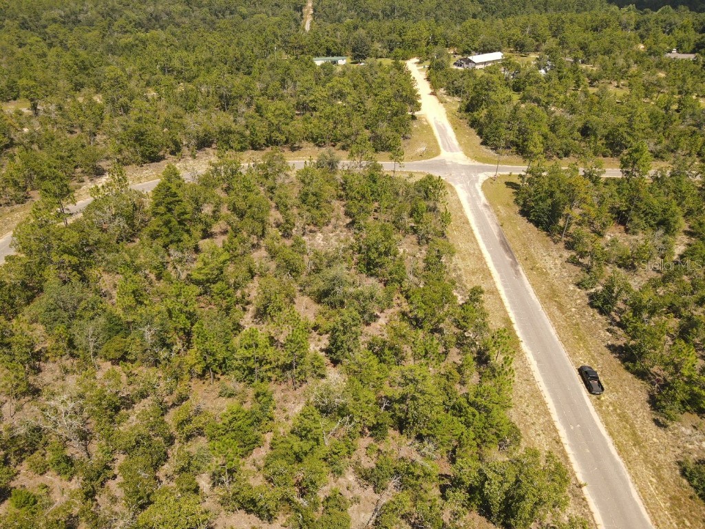 Norvell Street Chipley FL 32428 TB8412680 image8