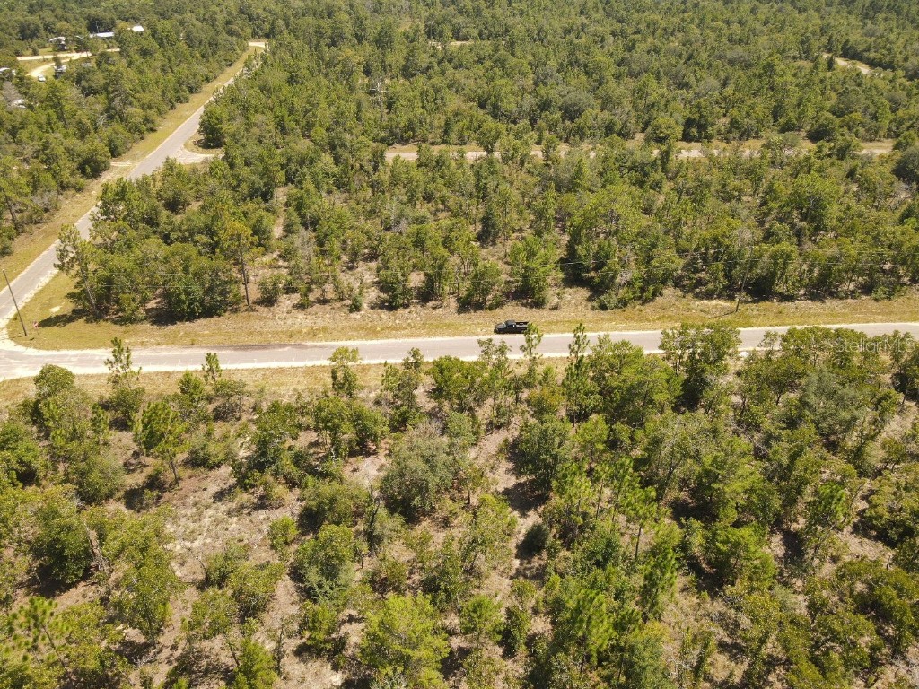 Norvell Street Chipley FL 32428 TB8412680 image9