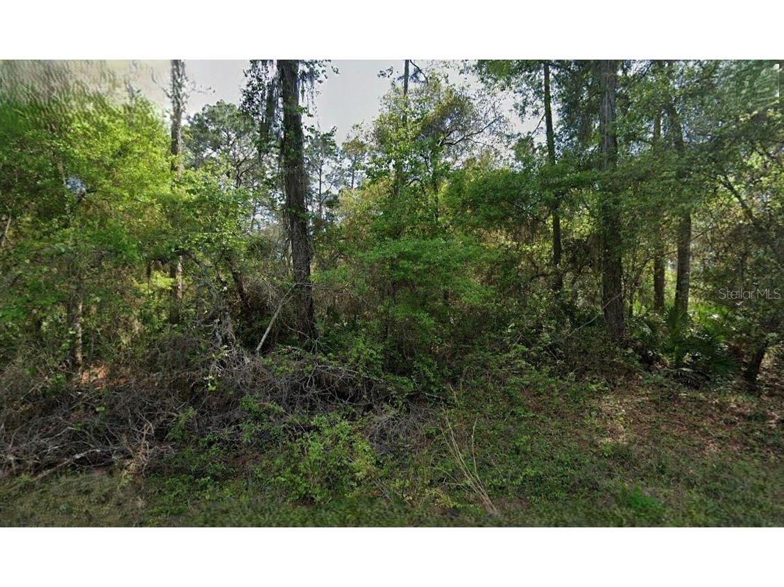 Not Assigned Crescent City FL 32112 O6299199 image1