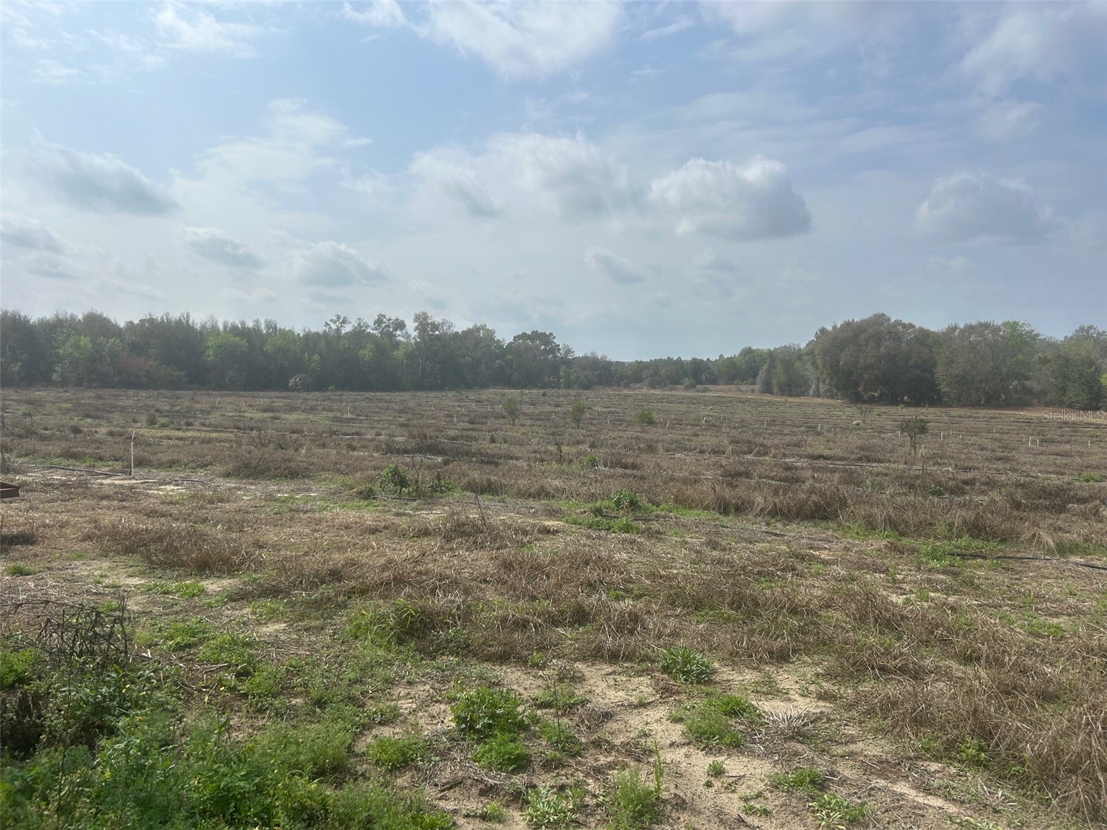 Number Two Road Leesburg FL 34748 - POND G5107651 image1