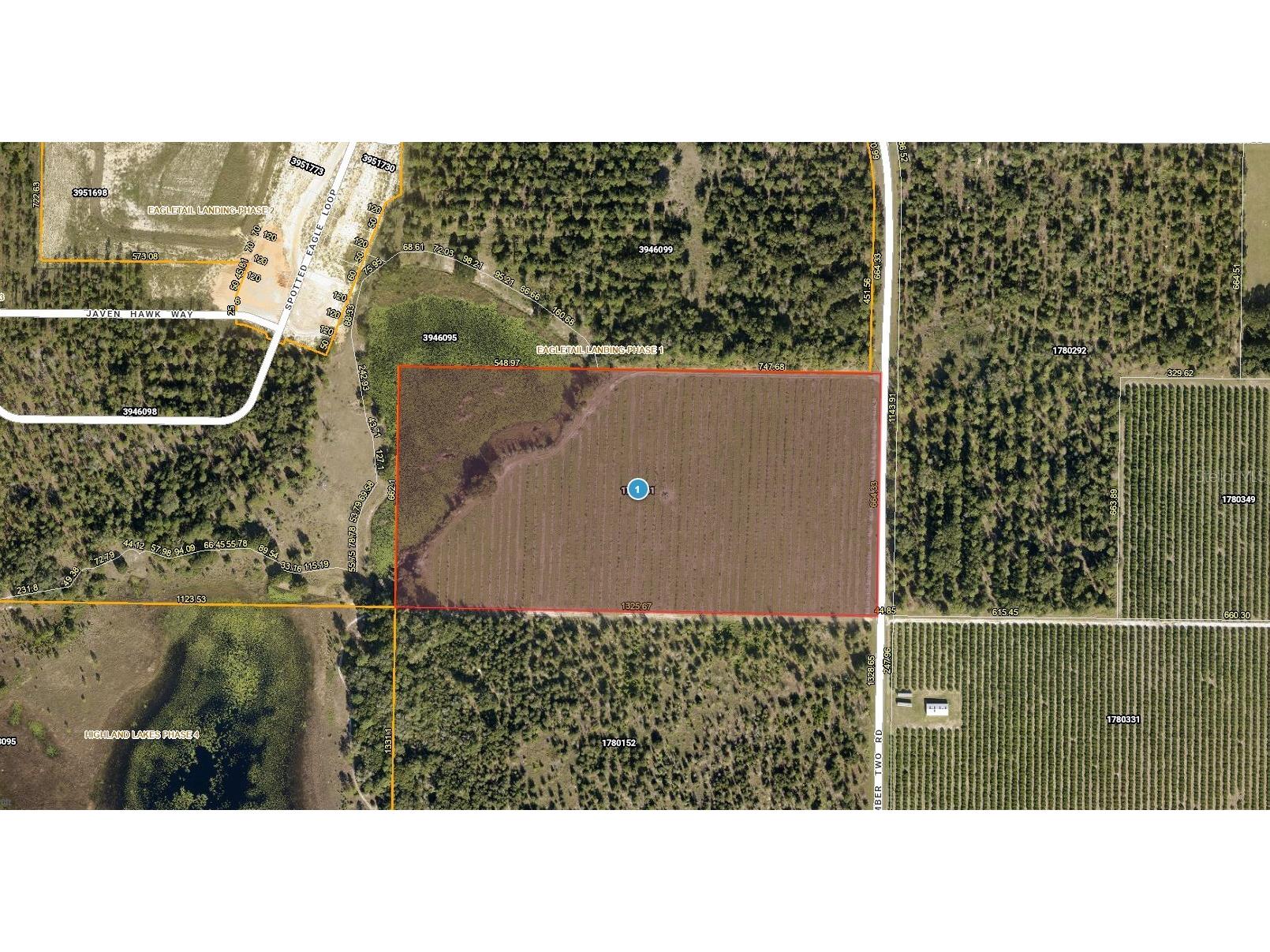 Number Two Road Leesburg FL 34748 - POND G5107651 image2