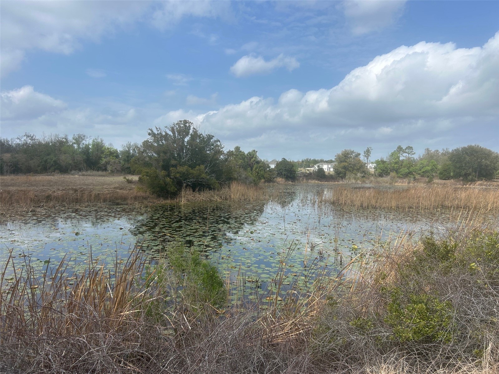 Number Two Road Leesburg FL 34748 - POND G5107651 image3