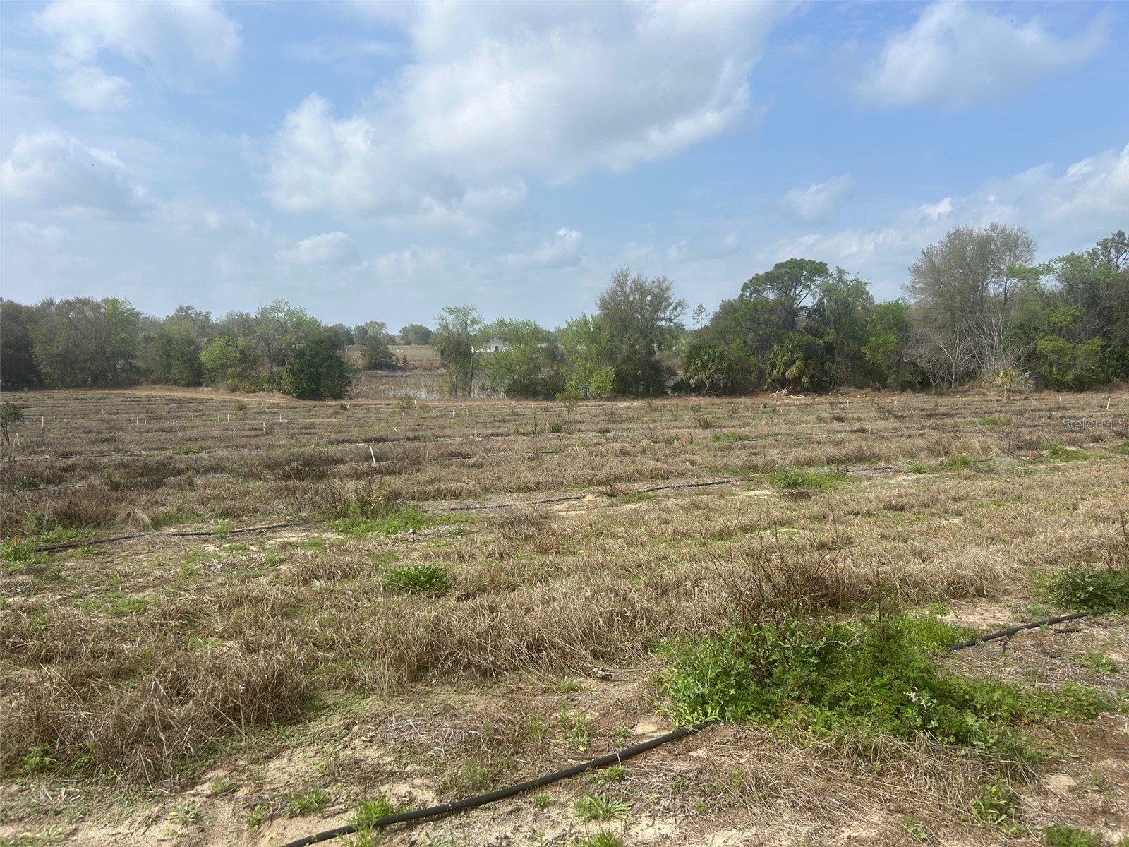 Number Two Road Leesburg FL 34748 - POND G5107651 image4