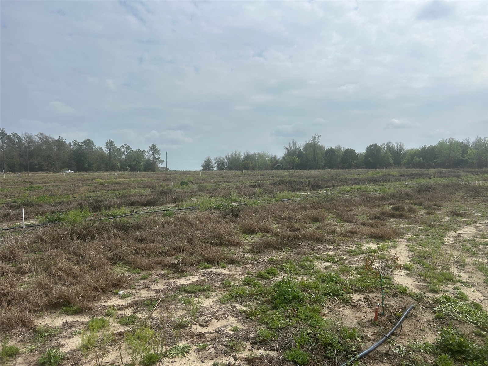 Number Two Road Leesburg FL 34748 - POND G5107651 image6