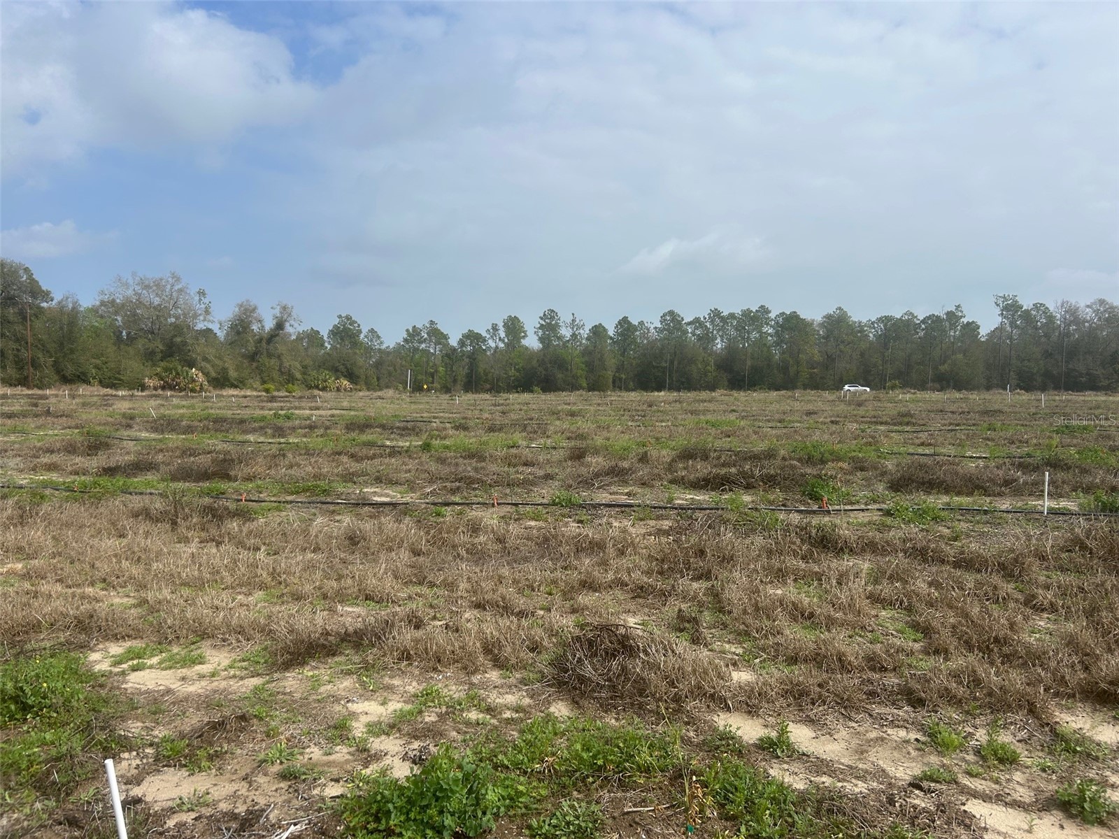 Number Two Road Leesburg FL 34748 - POND G5107651 image7