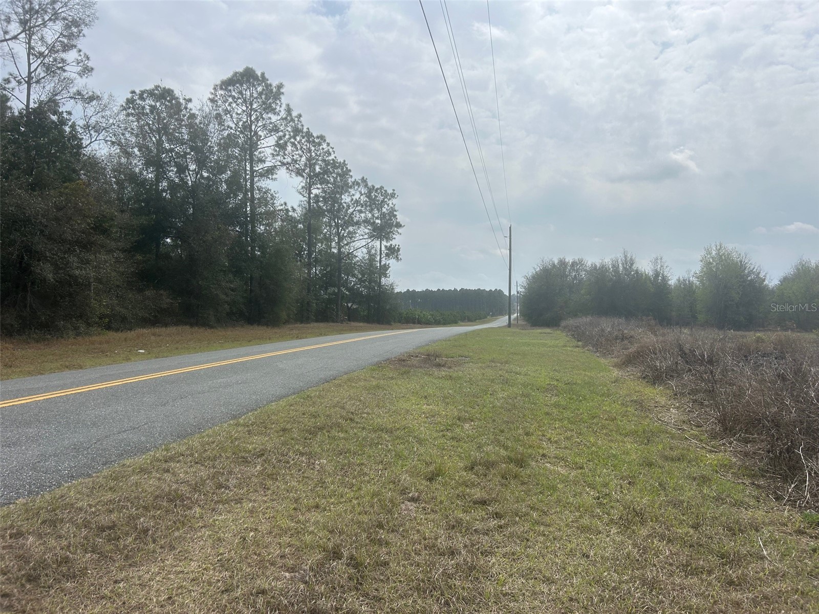 Number Two Road Leesburg FL 34748 - POND G5107651 image9
