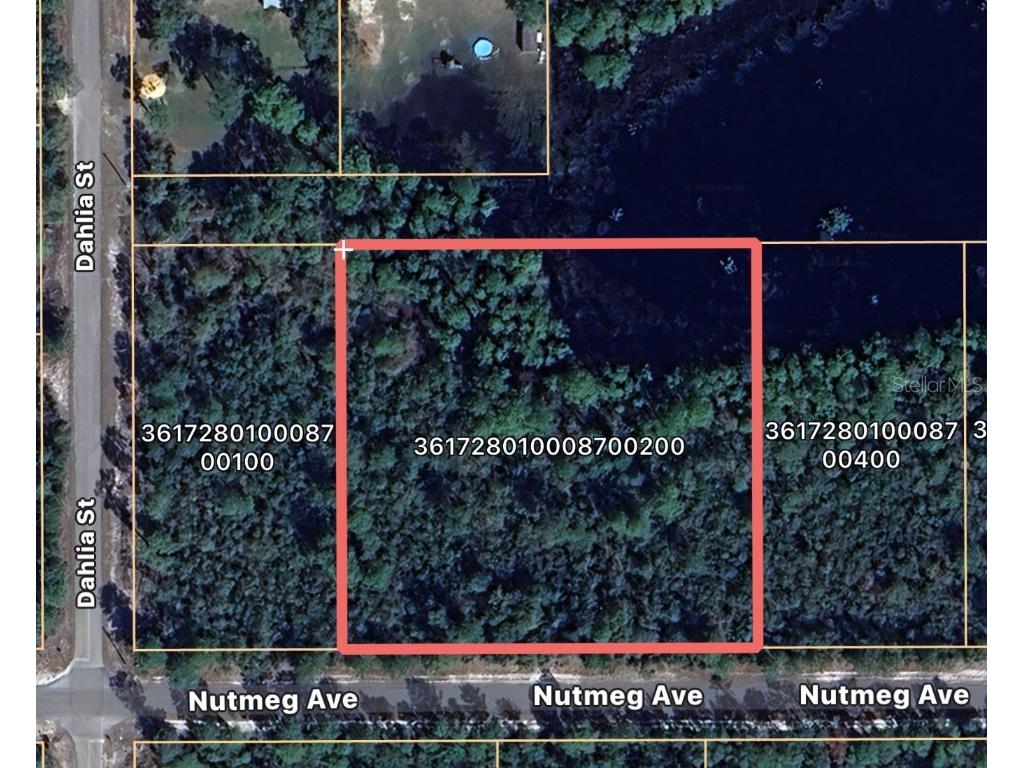 Nutmeg Avenue Eustis FL 32736 G5096146 image1