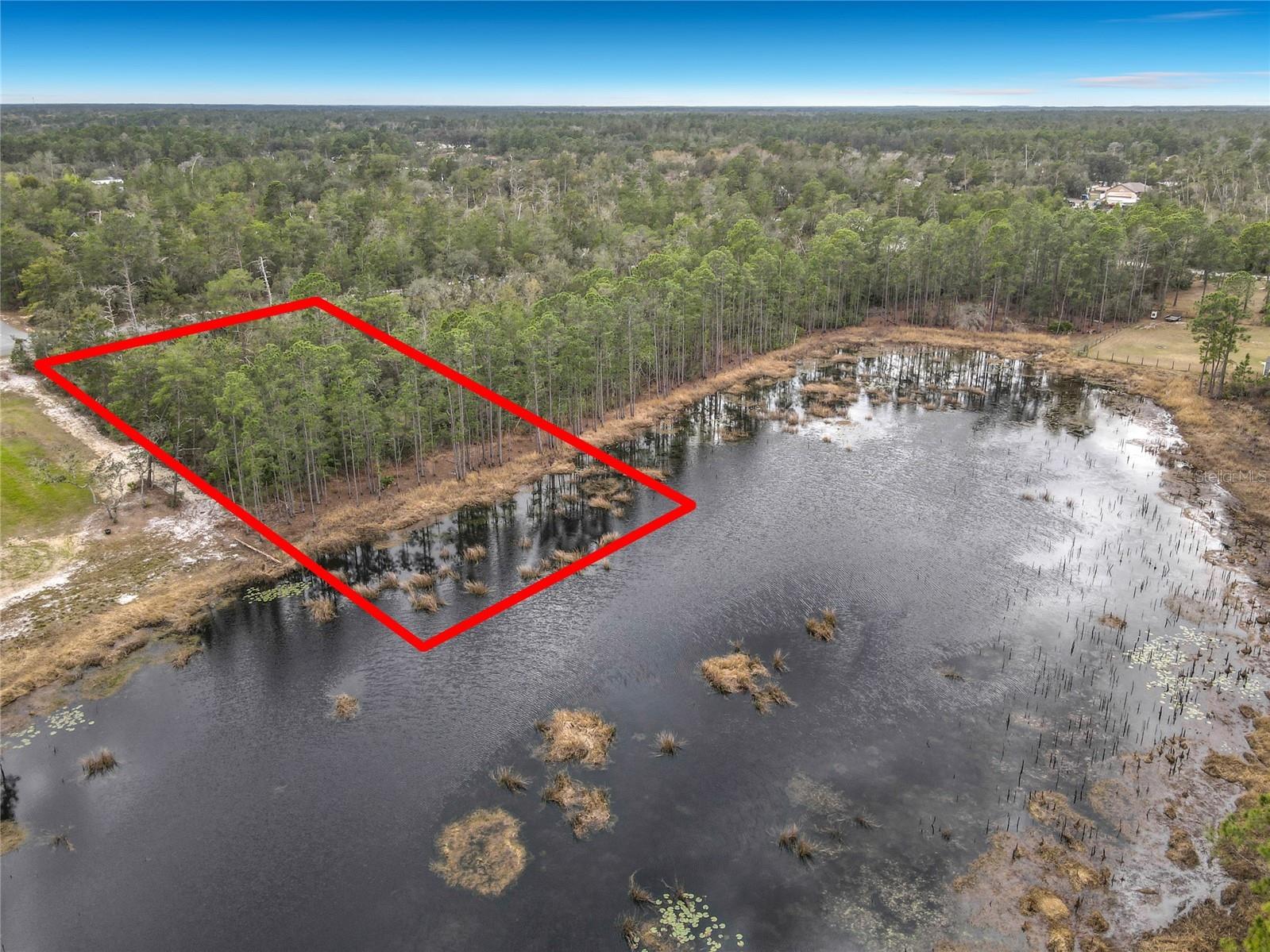 Nutmeg Avenue Eustis FL 32736 O6387413 image1