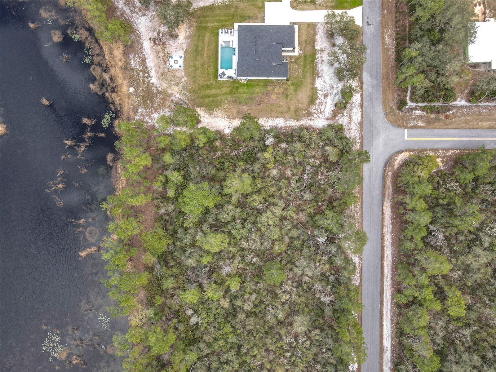 Nutmeg Avenue Eustis FL 32736 O6387413 image12